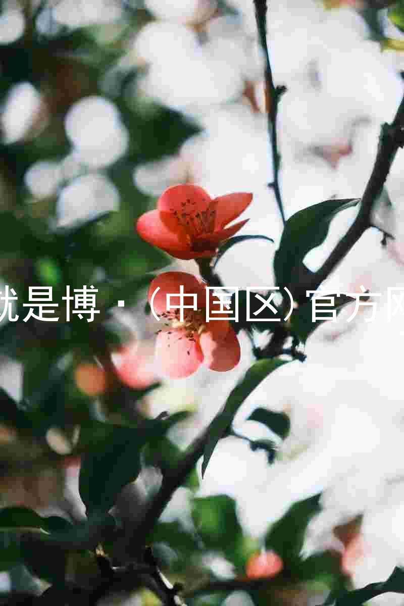 人生就是博·(中国区)官方网站z6